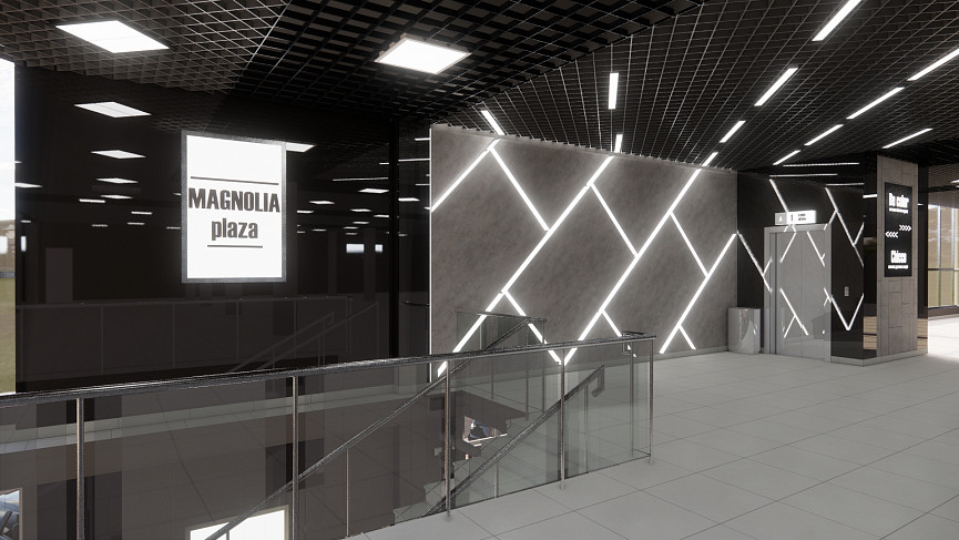 Оформление потолка и входа в ТЦ Magnolia Plaza, Черкассы